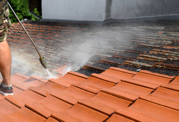 Best Fence Pressure Washing  in Cherokee, IA